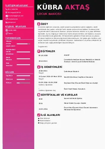 Çocuk Bakıcısı CV Örnekleri cv indir